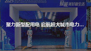 聚力新型配用电 启航超大城市电力发展新征程